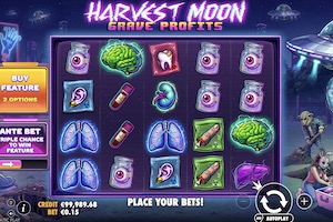 Harvest Moon Grave Profits