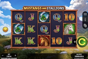 Mustangs and Stallions