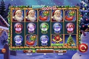 Snowy Secrets