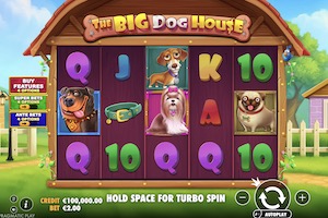 The Big Dog House